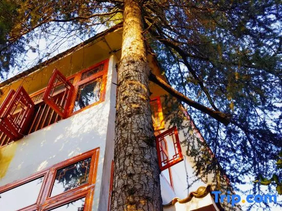 Floral Hotel·Lotto hotel (Kunming Dianchi Haigeng Dam)