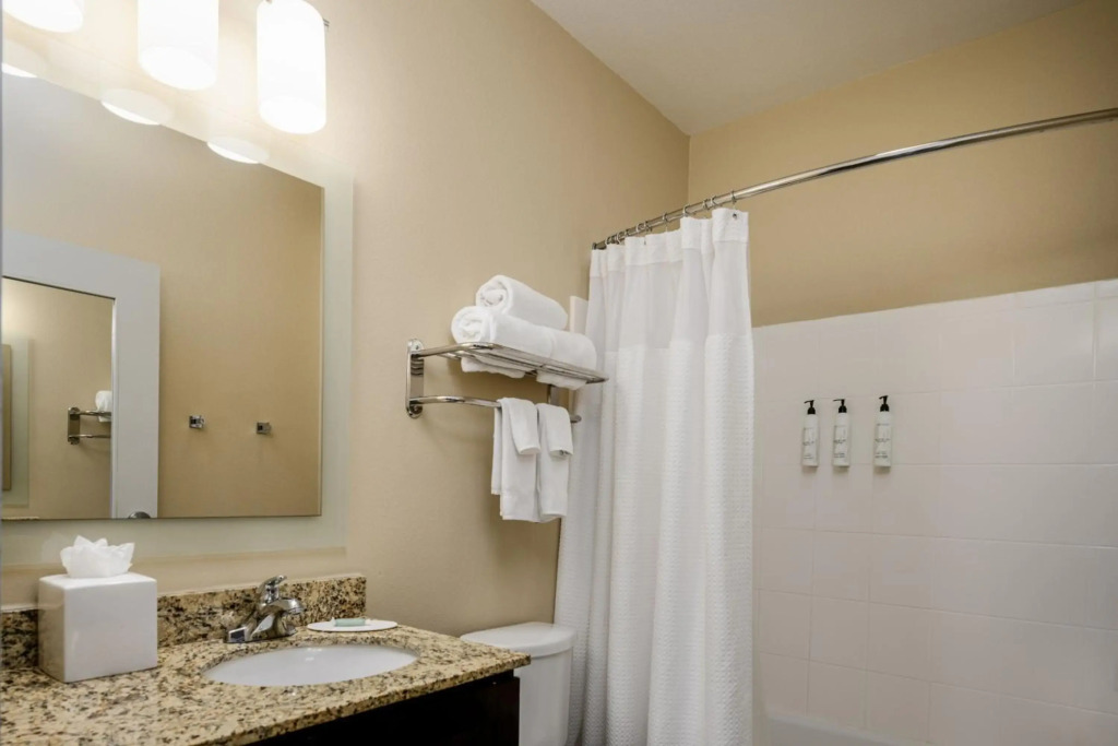 TownePlace Suites by Marriott Houston Galleria Area