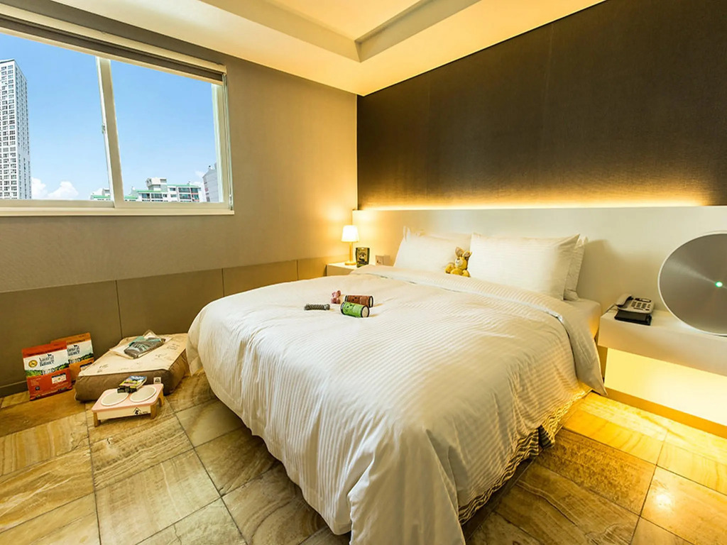 The Pettel Premium Suite