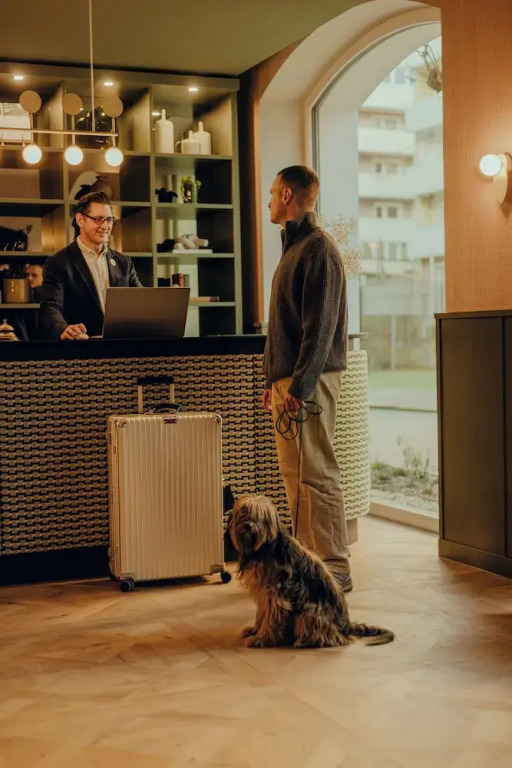 Design Apartments zum Hirschen