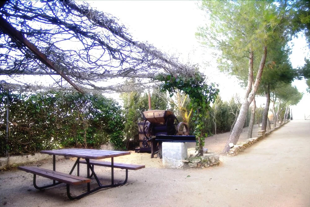 Finca Los Molinos