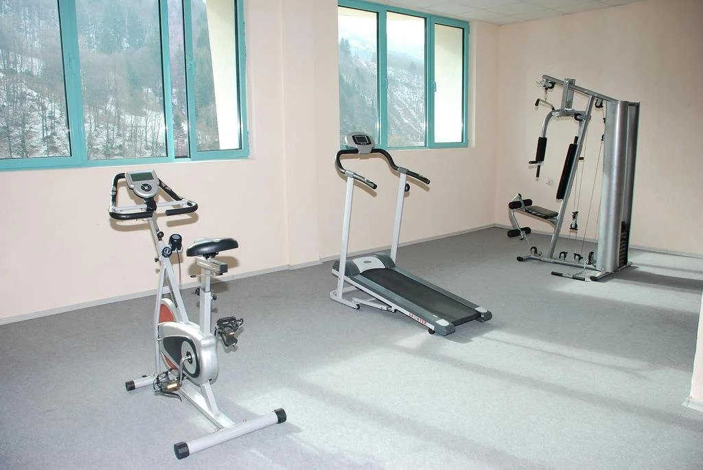 Hotel Dikas