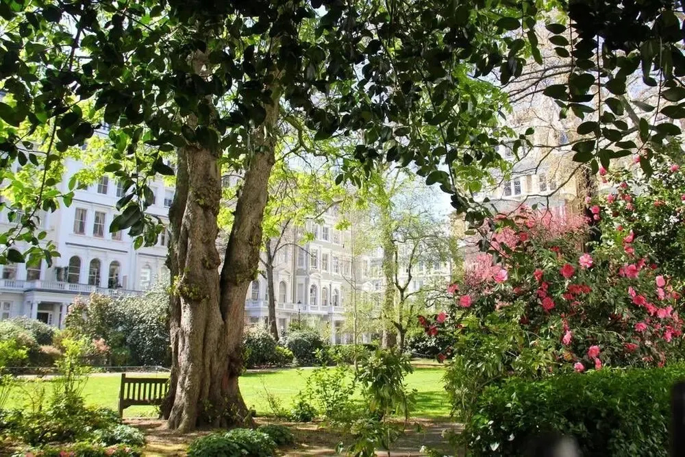 Lovely 3 bedroom house South Kensington