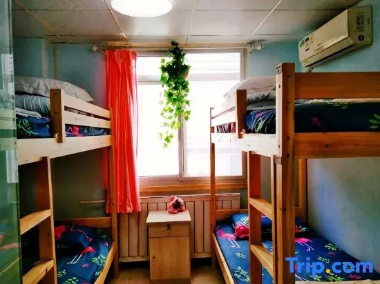Tianjin Xinsentang International Youth Hostel