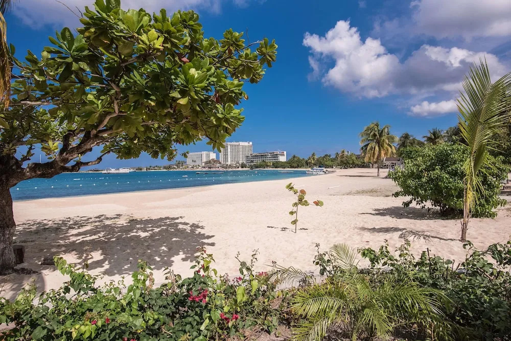 Beach-side condos at Turtle Beach Towers