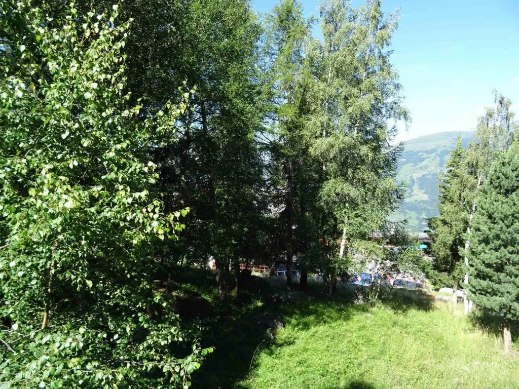 Appartement Les Arcs 1600, 1 pièce, 3 personnes - FR-1-411-421