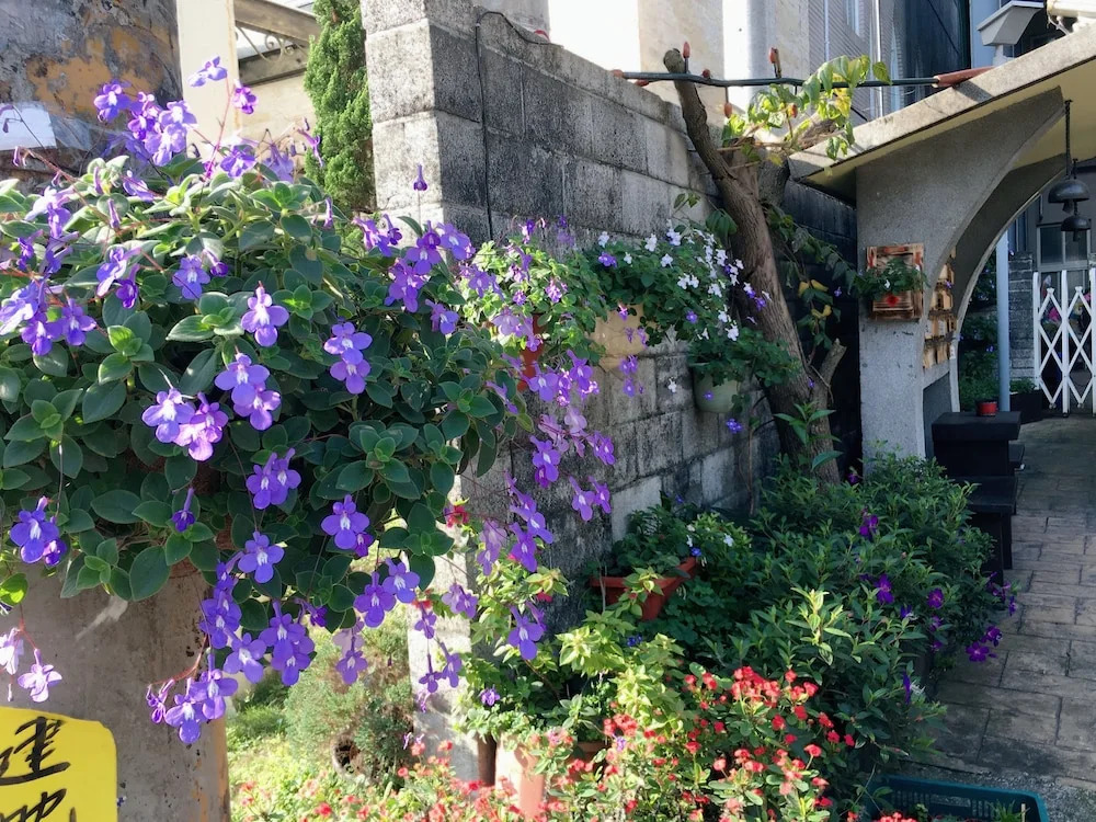 Puli Town B&B