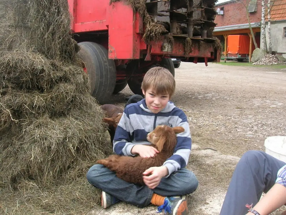 at the Organic Farm Angus-hof