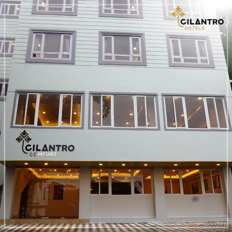 Cilantro Comfort