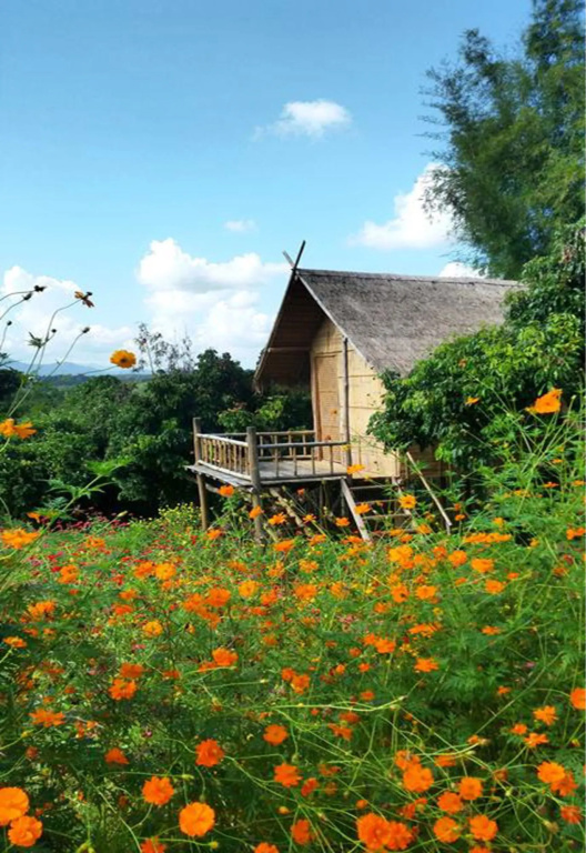 Baan AingDoi Homestay