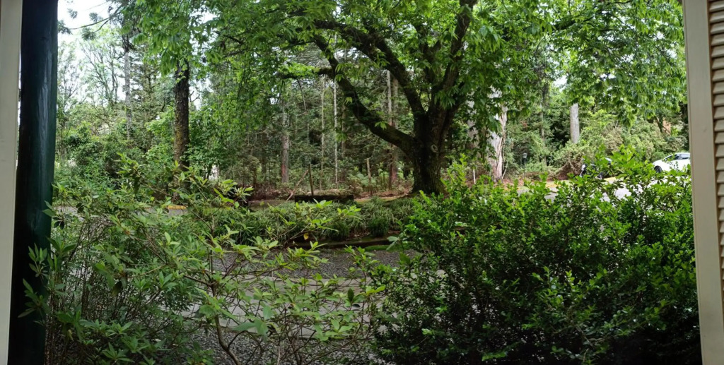O Fada da Floresta é seu refúgio p/ até 4 pessoas