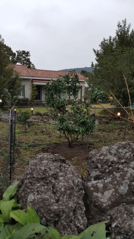 Supgol Pension