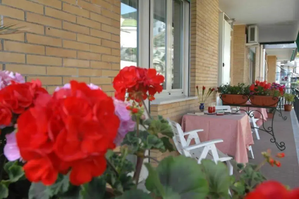 B&B La casa Damare