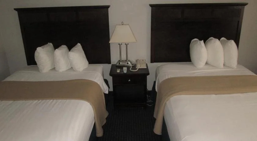 The Avenue Hotel