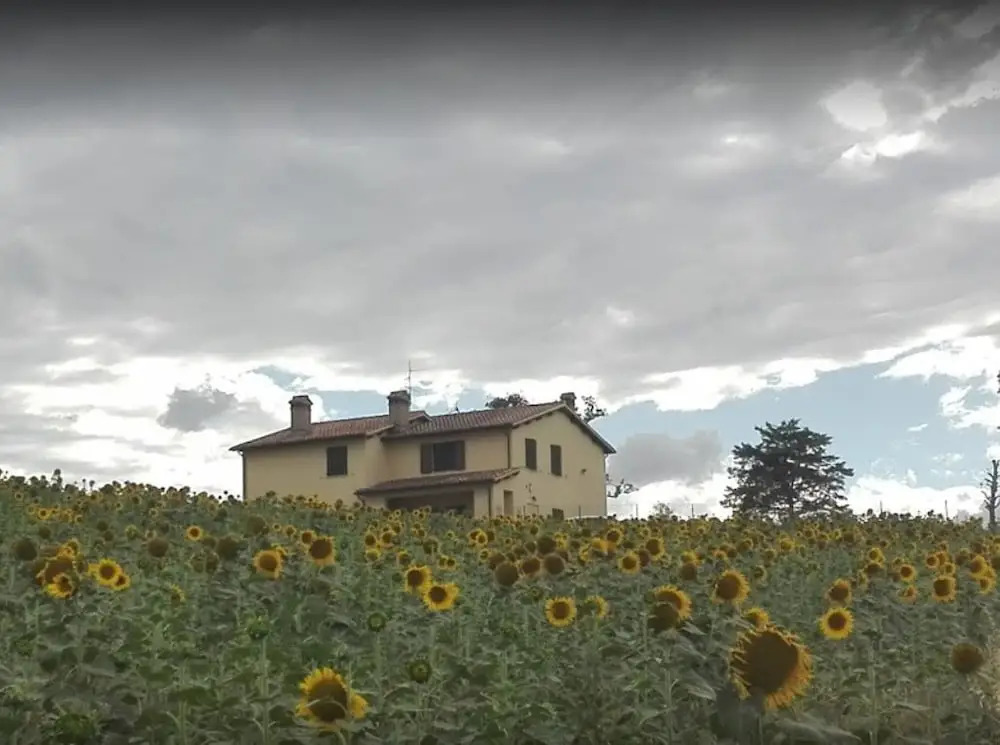 La strada bianca