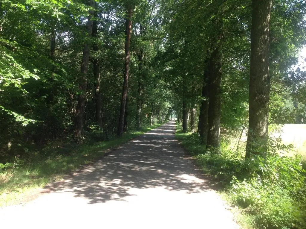 B&B De Handwijzer Hengelo