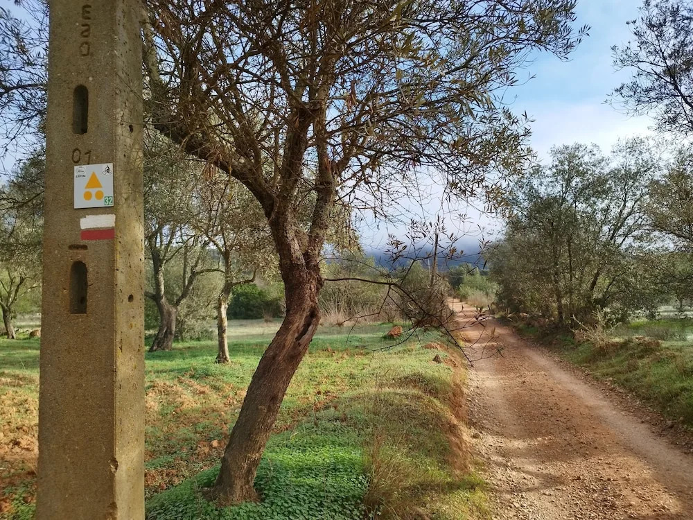 Entrecolinas