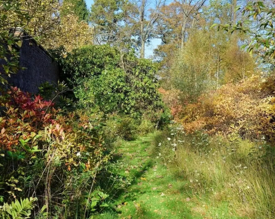 Loch Lomond Finnich Cottages
