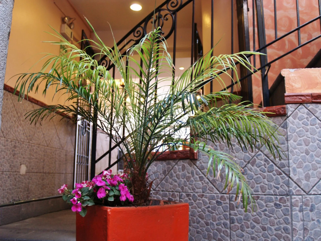Rincón Familiar Hotel Boutique