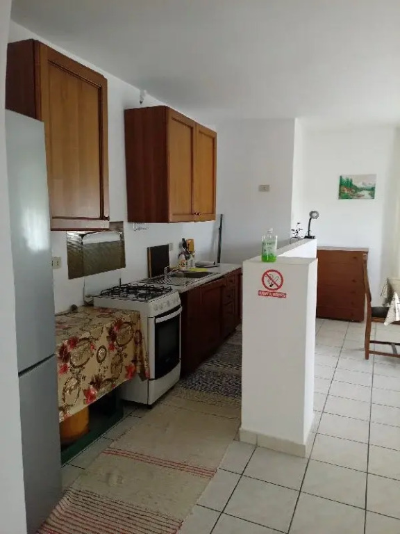 Vila Oltenilor