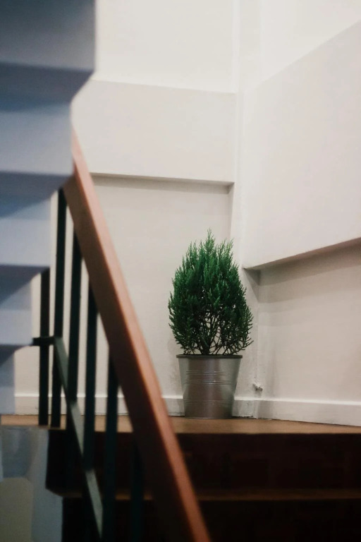 Weeping Willow Sukhumvit 26 – Hostel