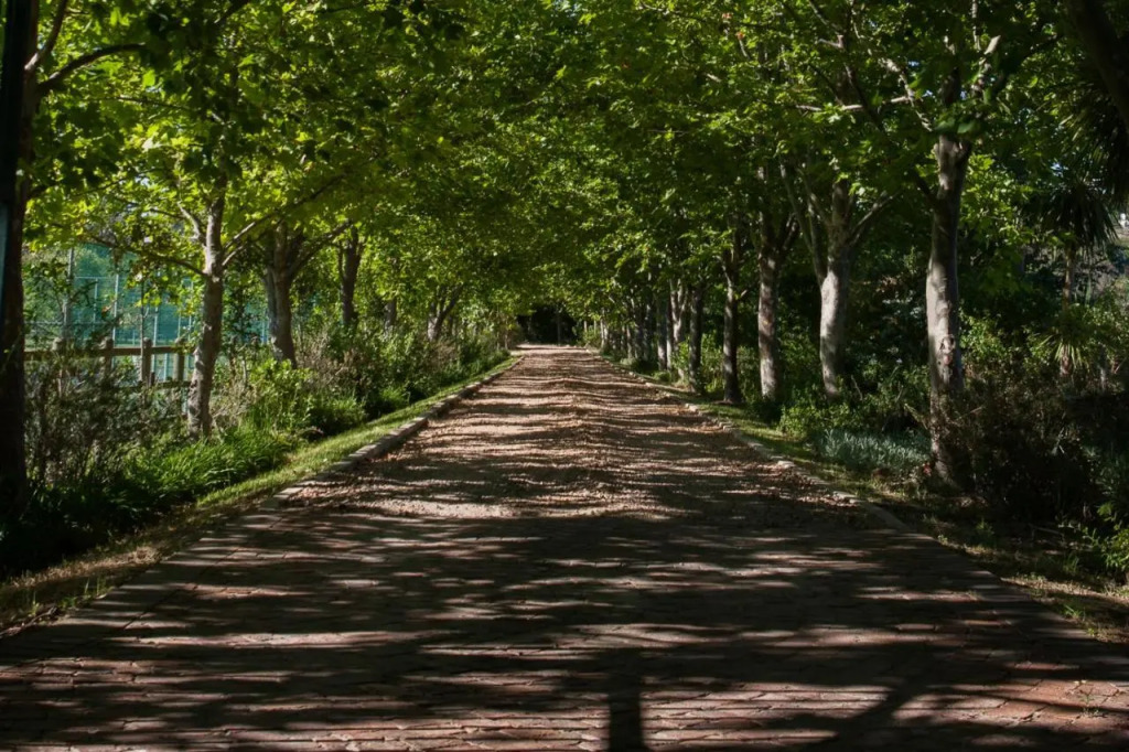 Sanddrif Stellenbosch Guest Farm