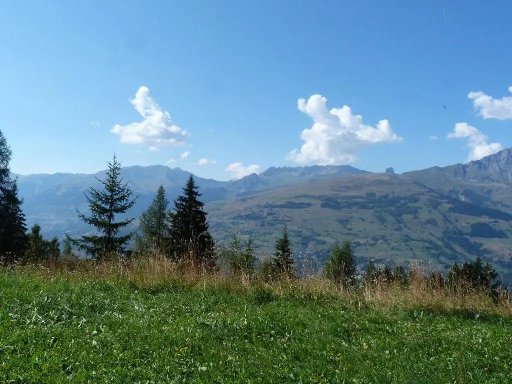 Appartement Les Arcs 1800, 2 pièces, 5 personnes - FR-1-411-23