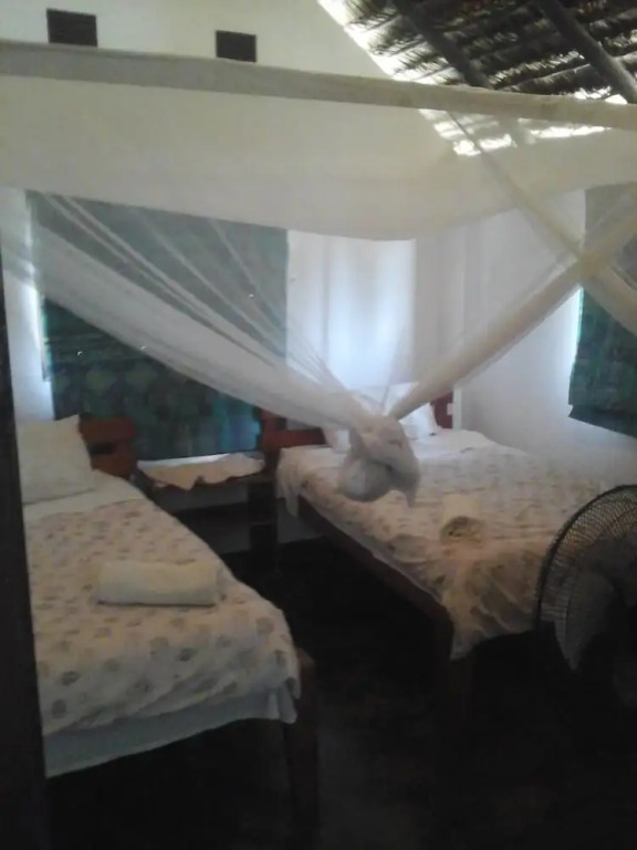 Albatroz Lodge