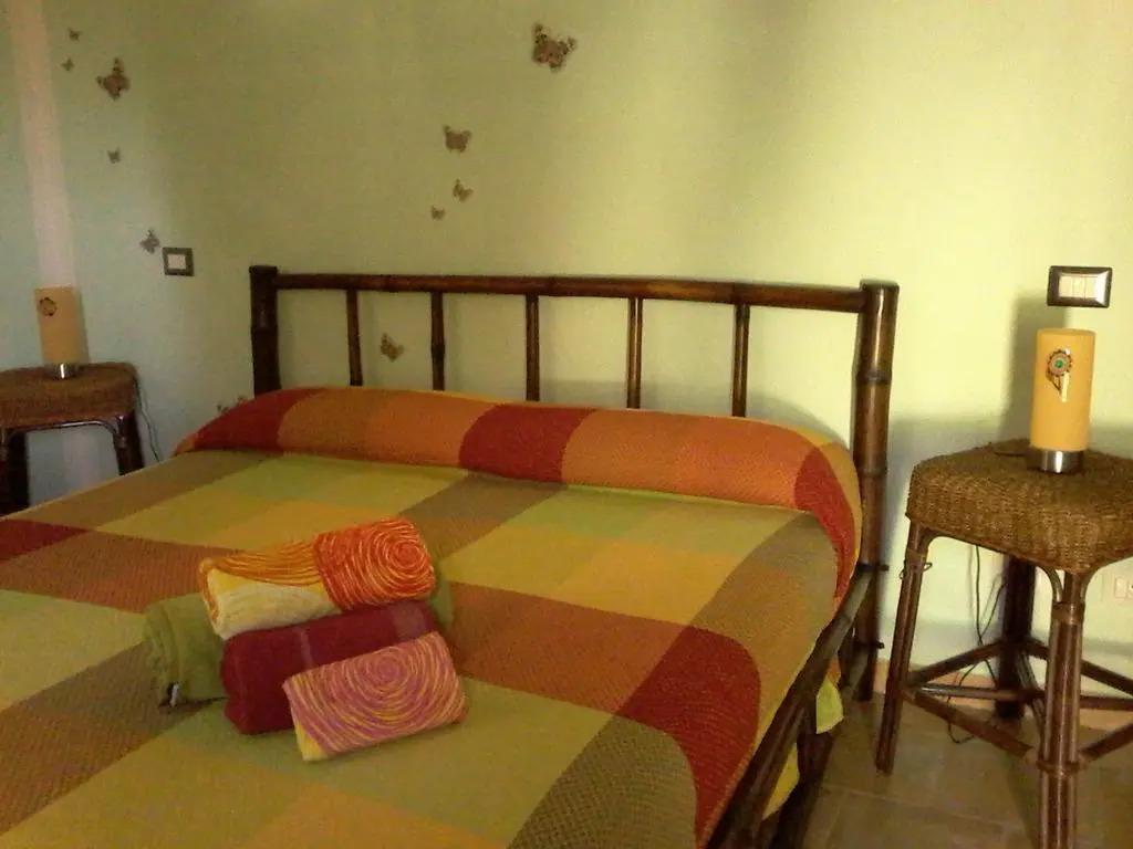 B&B Meladormo