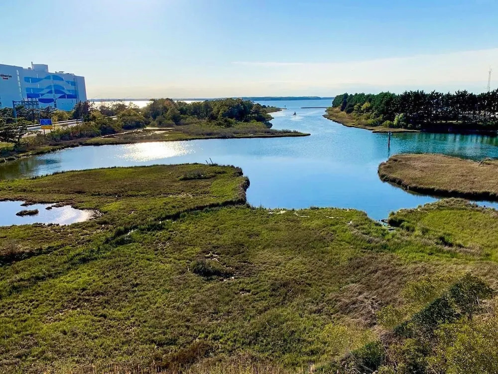 Bayfront Bliss Rooftop Pool, Short Walk To Beach 3 Bedroom Condo