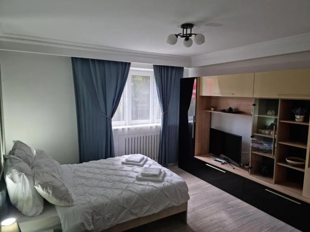 Apartament Georgiana