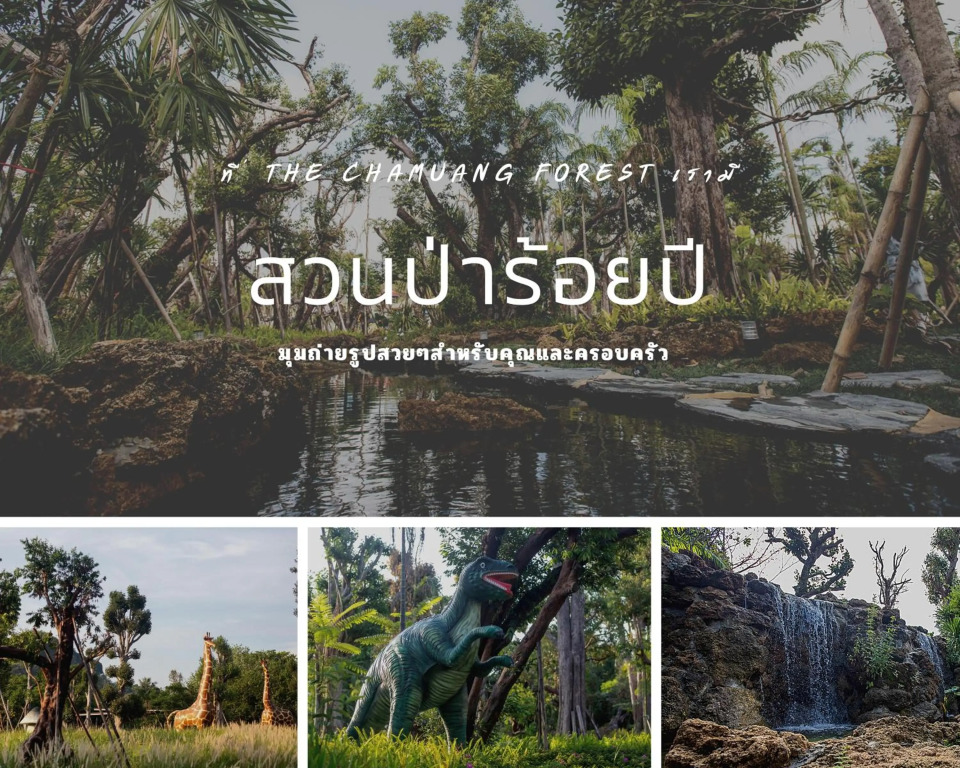 The Chamuang Forest