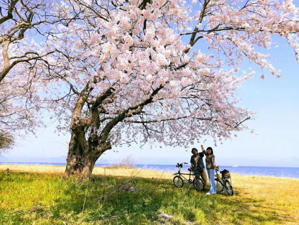 静かに過ごす古民家STAY in 高島 トイレシャワー共用