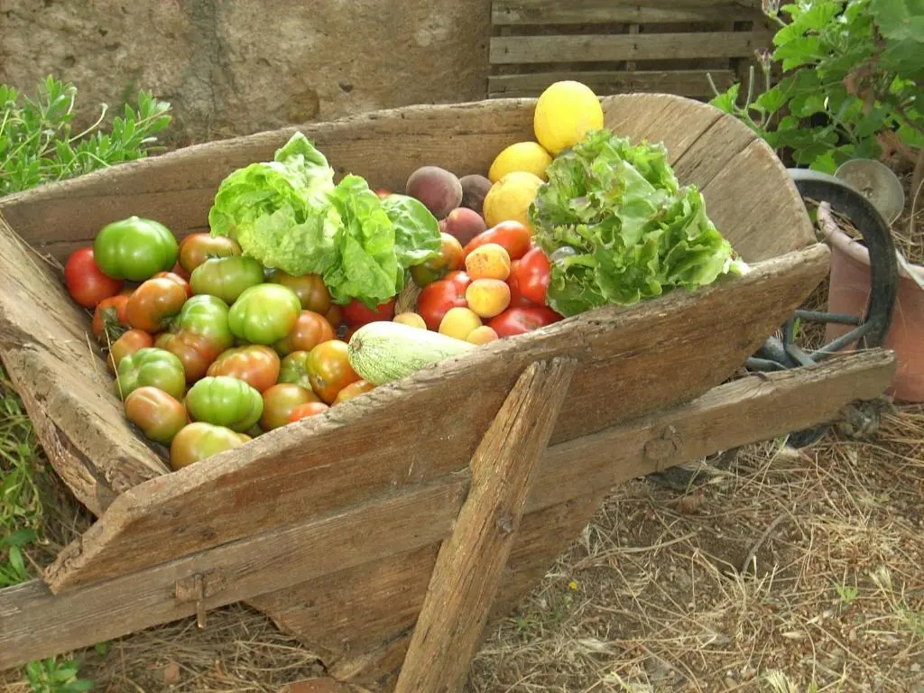 Agriturismo del Monte