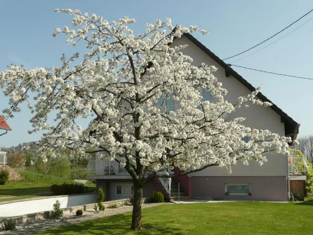 Chez Anny et Jean Au Mittelbuehl
