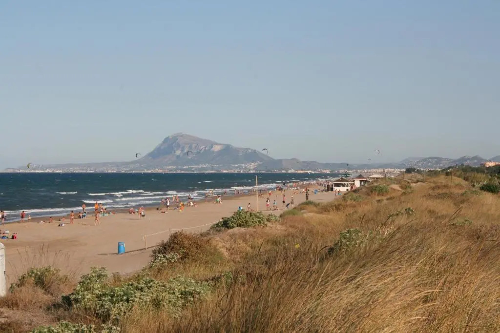 Oliva Holidays 3