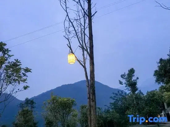 Yunli Chanyang Homestay (Jinfo Mountain)