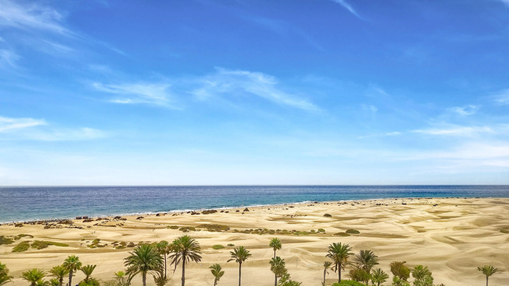 Bungalows El Palmital