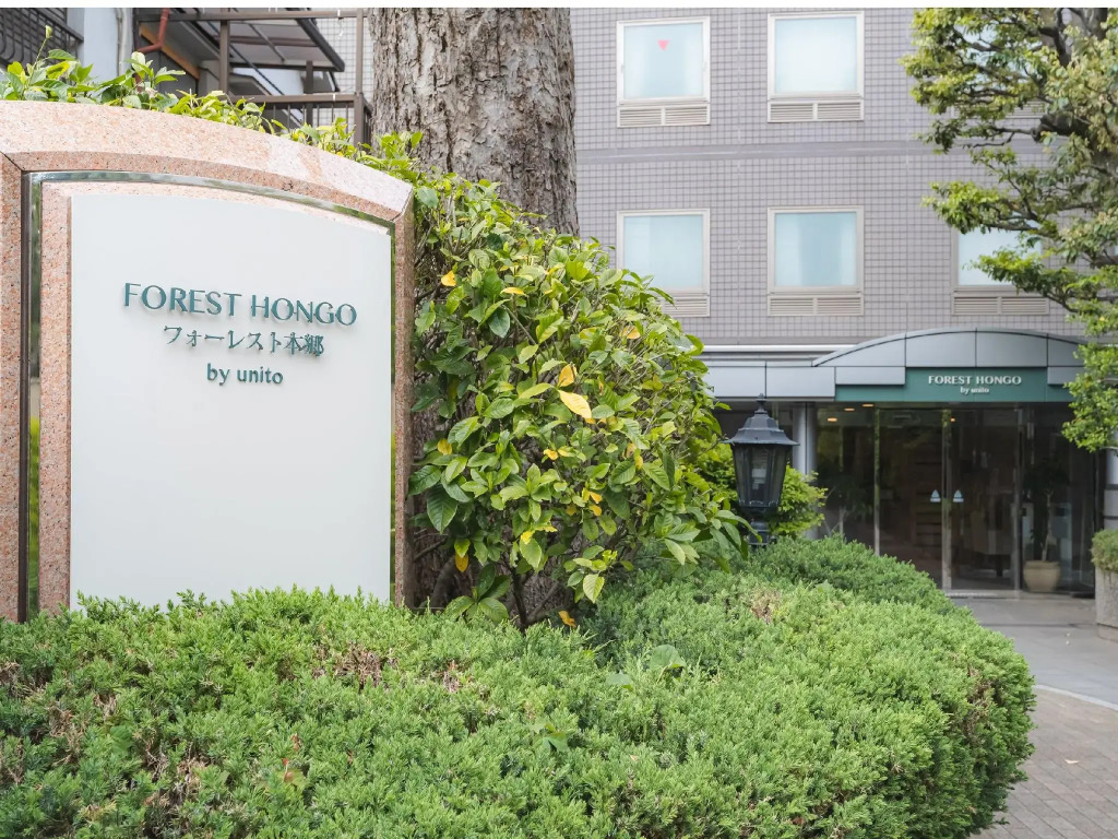 Forest Hongo by unito