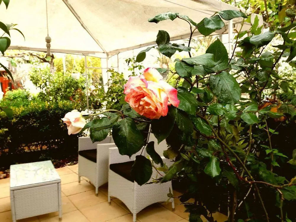 Art Villa Ines