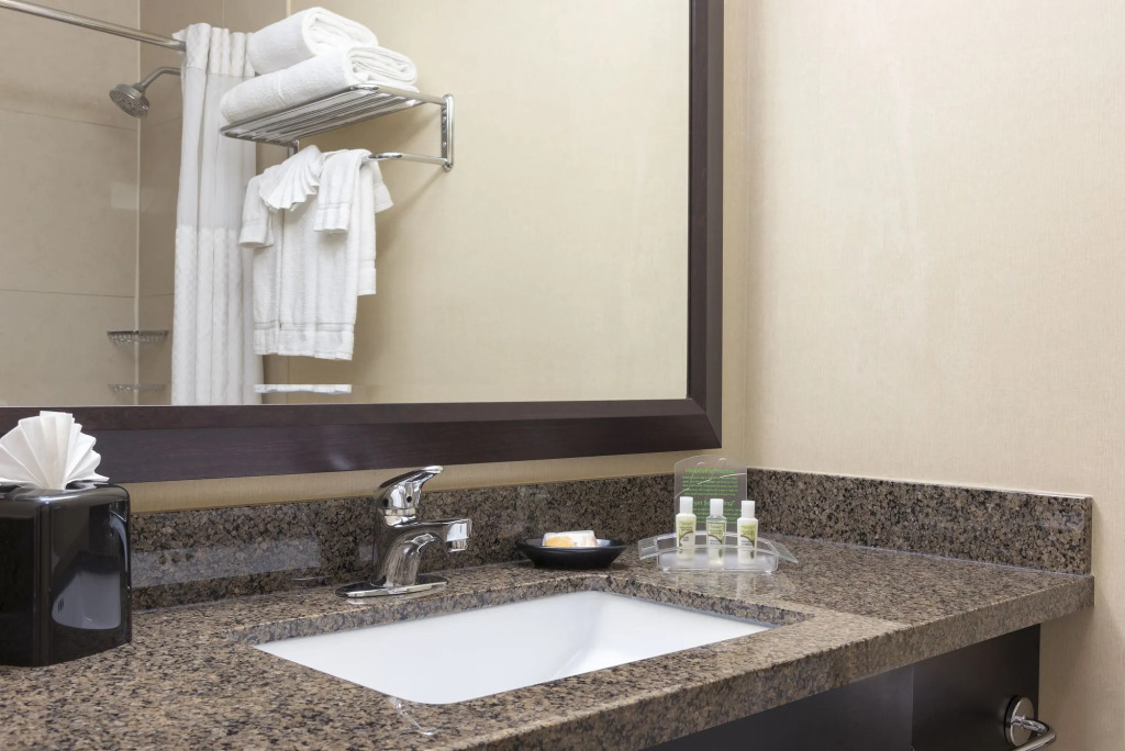 Holiday Inn Chicago - Elk Grove