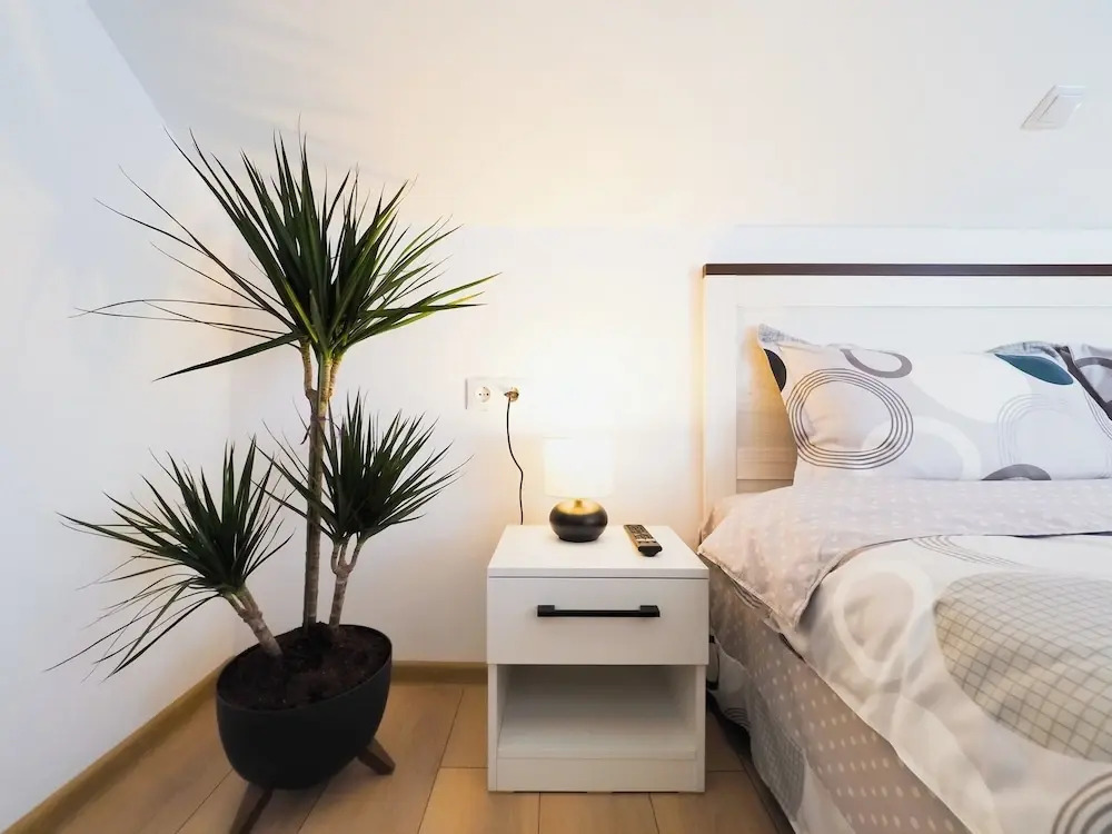 Ben Apartments Near City Center