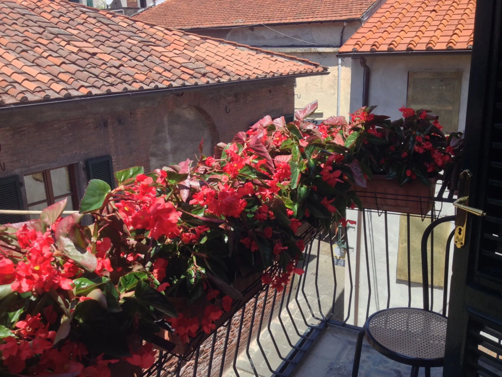 Hotel Diana -  Albergo San Martino 