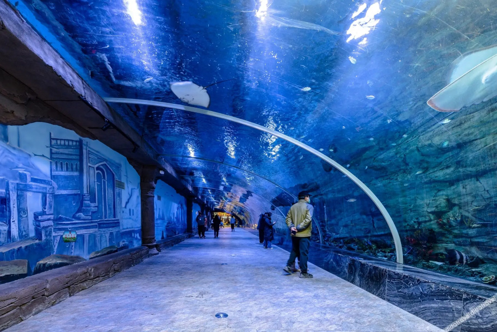 Vyluk Hotel (Hohhot Xinhua Plaza)