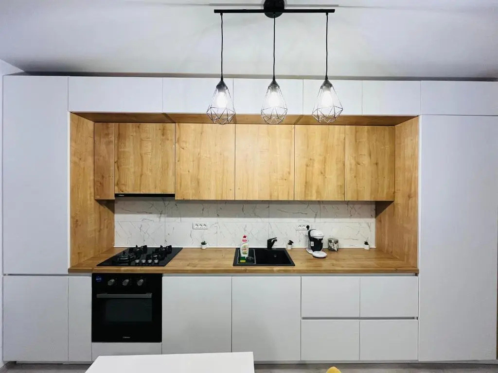 Apartament 1 camera