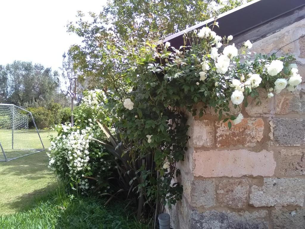 Casetta vacanza in campagna
