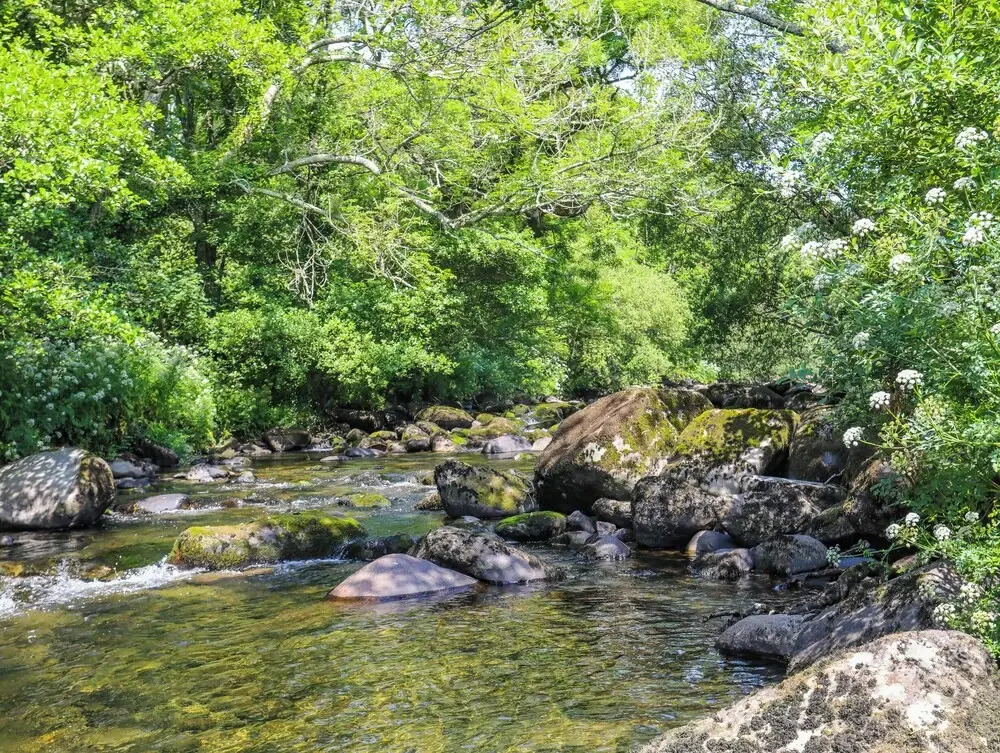 Llwyn Onn