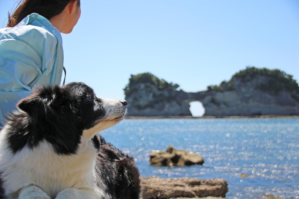 Wan Wan Paradise Premier Nanki Shirahama