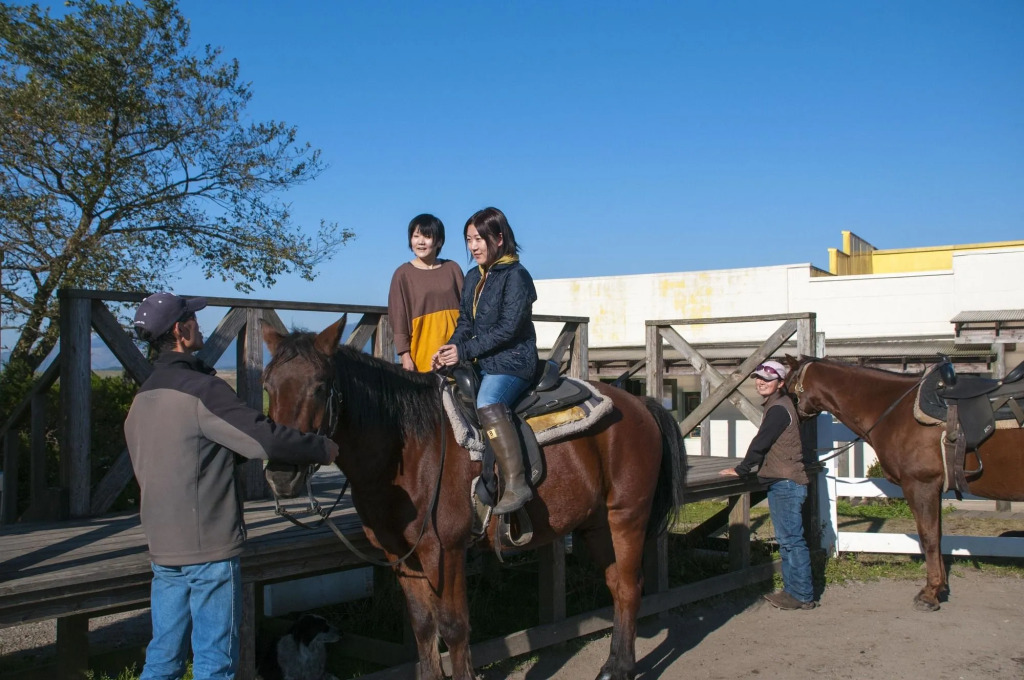 El Patio Ranch