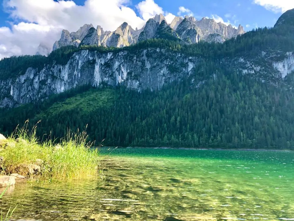 Gosau Apartment 307